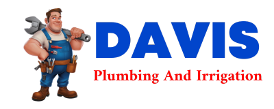 Trusted plumber in LISMAN